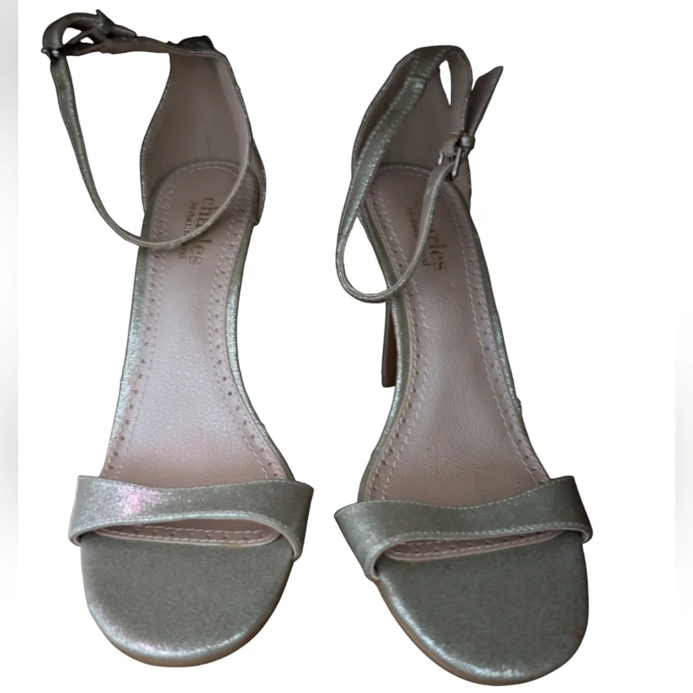 Elegant Silver Ankle Strap Sandals
